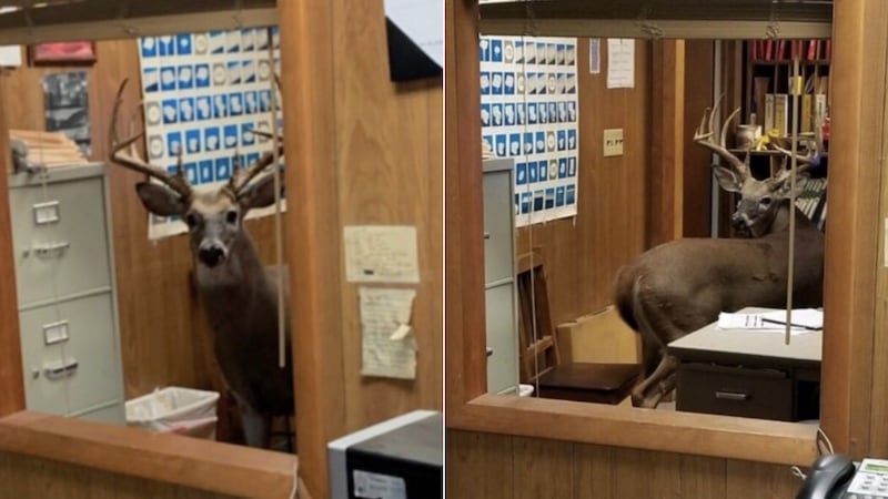 Courtesy: Kentucky State Police