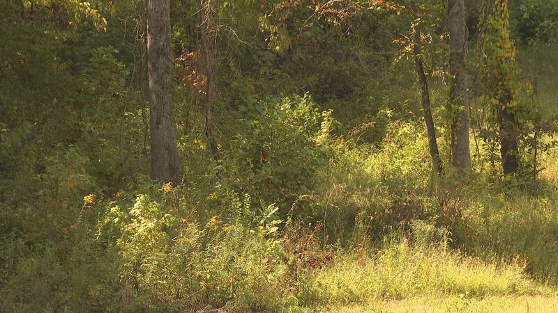 Morehead Chief of Police Derrick Blevins says some hunters were in a wooded area north of KY...